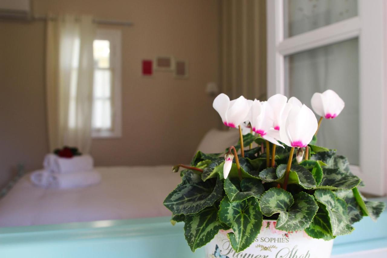 Sugar Home Ξυλόκαστρο Εξωτερικό φωτογραφία